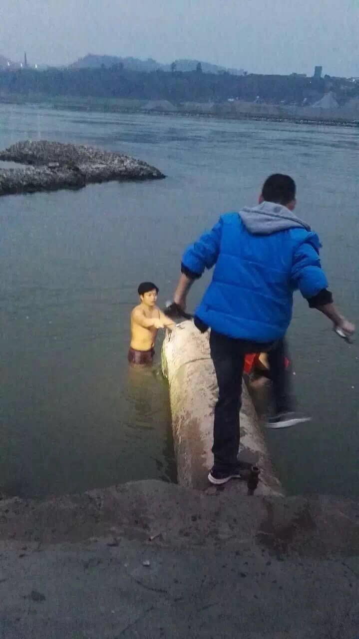 紧急启用新建取水管 攻克低水位取水难题