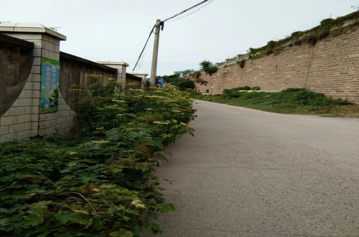 除草刷墙洒汗水,苗圃外貌换新颜