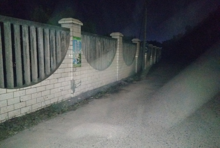 除草刷墙洒汗水,苗圃外貌换新颜