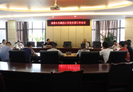 集团公司党委召开支部工作会议