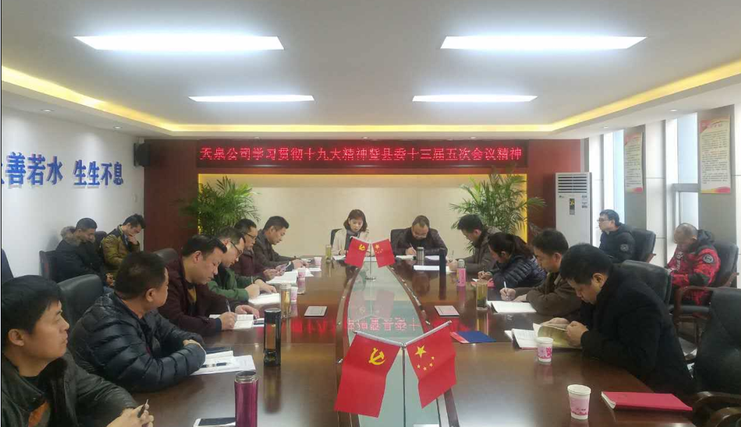 学习贯彻十九大精神暨县委十三届 五次会议精神