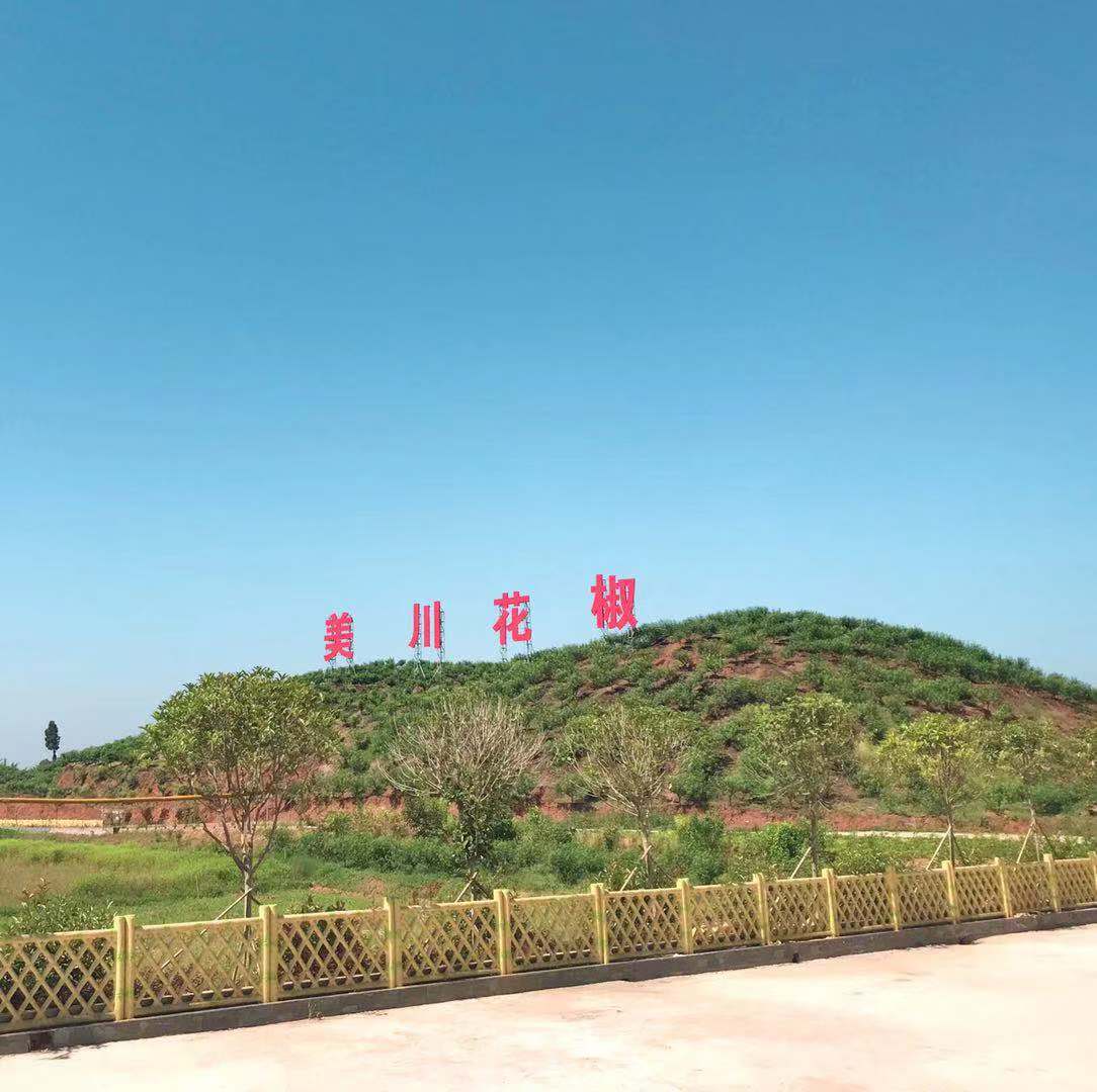 村企共创,建美丽宜居乡村