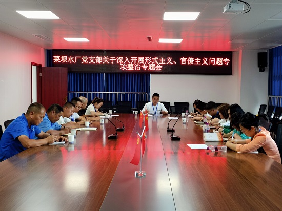 菜坝水厂党支部召开关于深入开展形式主义、官僚主义问题专项整治专题会