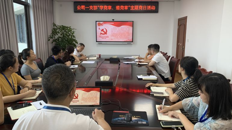 清源水务公司党委组织开展“学党章、遵党章”系列主题党日活动