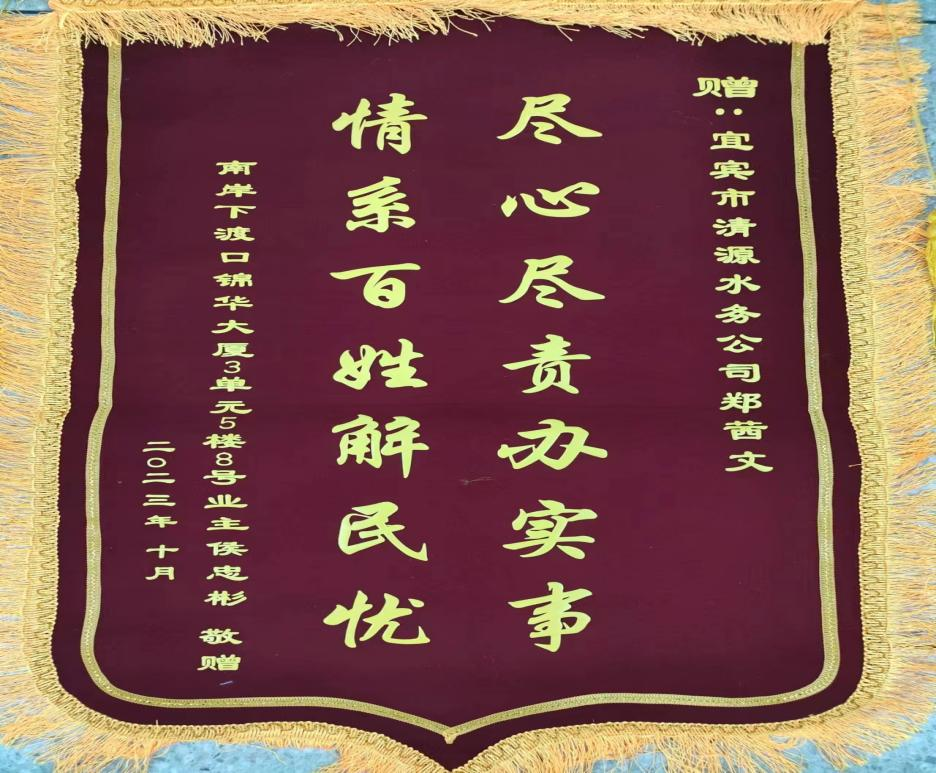 尽心尽责办实事，为民解忧获赞扬